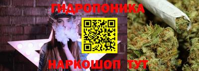2c-b Пугачёв