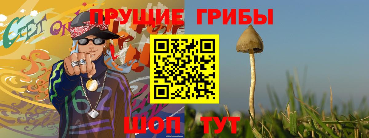 Галлюциногенные грибы Psilocybe  Вход с VPN  Северск 
